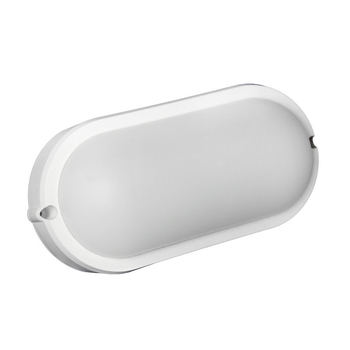 Банник LightPhenomenON LT-LBWP-01-IP65-12W-6500К LED овальный - Светильники - Для ЖКХ - . Магазин оборудования для автономного и резервного электропитания Ekosolar.ru в Домодедово